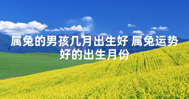 属兔的男孩几月出生好 属兔运势好的出生月份